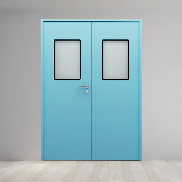 Steel Clean Room Door