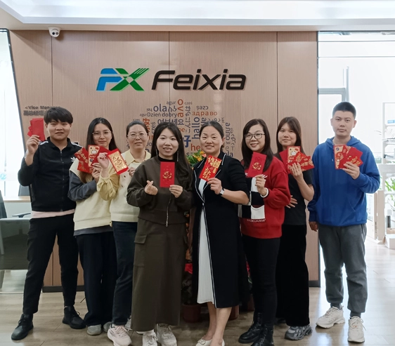 feixia-industry-professional-team-&-corporate-culture