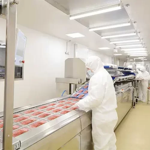 Food-processing-cleanrooms