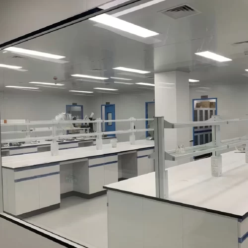 Large Scale Injection Workshop in Mexico